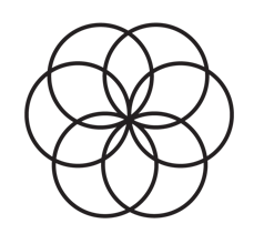 Immunocologie Training